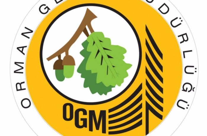 ORMAN GENEL MÜDÜRLÜĞÜ